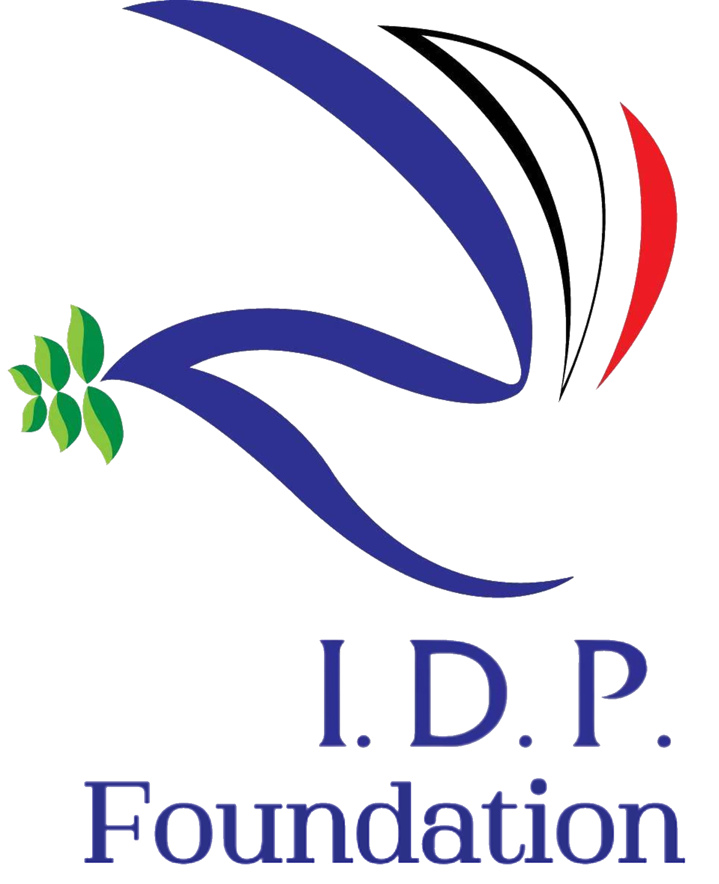 IDP Foundation